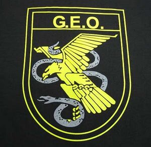 GEO.jpg