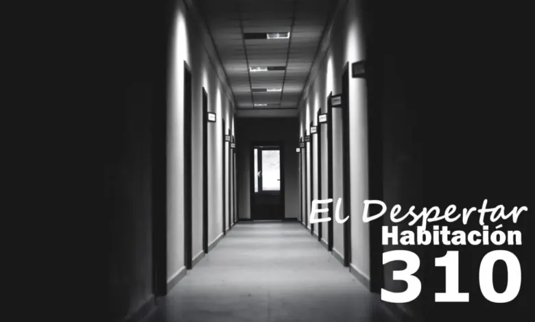 Archivo:Habitacion310.webp