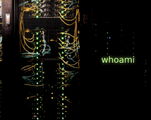 Whoami2589.png