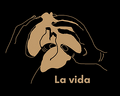 Miniatura de la versión del 11:42 15 jun 2024
