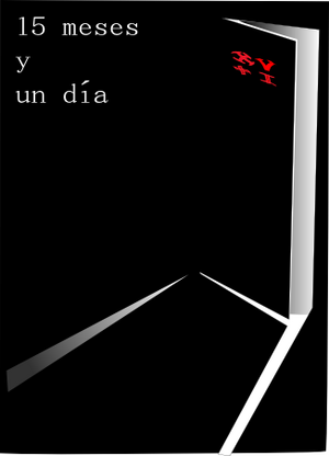 15 meses y un día.png